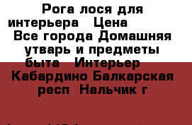 Рога лося для интерьера › Цена ­ 3 300 - Все города Домашняя утварь и предметы быта » Интерьер   . Кабардино-Балкарская респ.,Нальчик г.